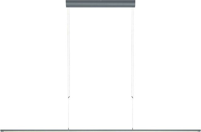 Oligo Lisgo Sky Straight Max LED-Pendelleuchte in Grau matt mit dimmbarer warmweißer Beleuchtung (2700K) - Bild 1