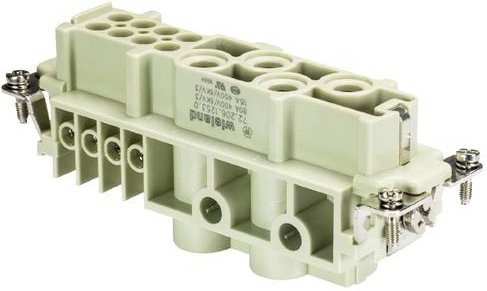 Wieland Electric Buchseneinsatz 72.206.1253.0 mit 4 Polen in Grau (5 Stück) - Bild 1