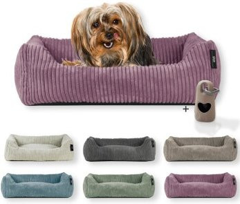 Rohrschneider Hundebett für kleine Hunde aus Cord in Lila mit abnehmbarem Bezug und Gassibeutel, B/T: 55 x 42 cm - Bild 1