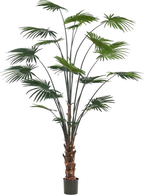 Künstliche Livistona Palme Flo von Aplanta, Höhe: 240 cm - Bild 1