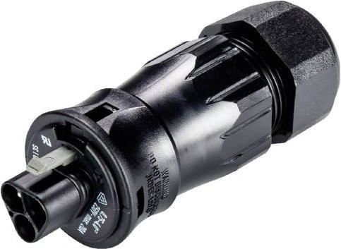 Wieland Electric X6.032.4553.1 Steckverbinder in Schwarz - Bild 1