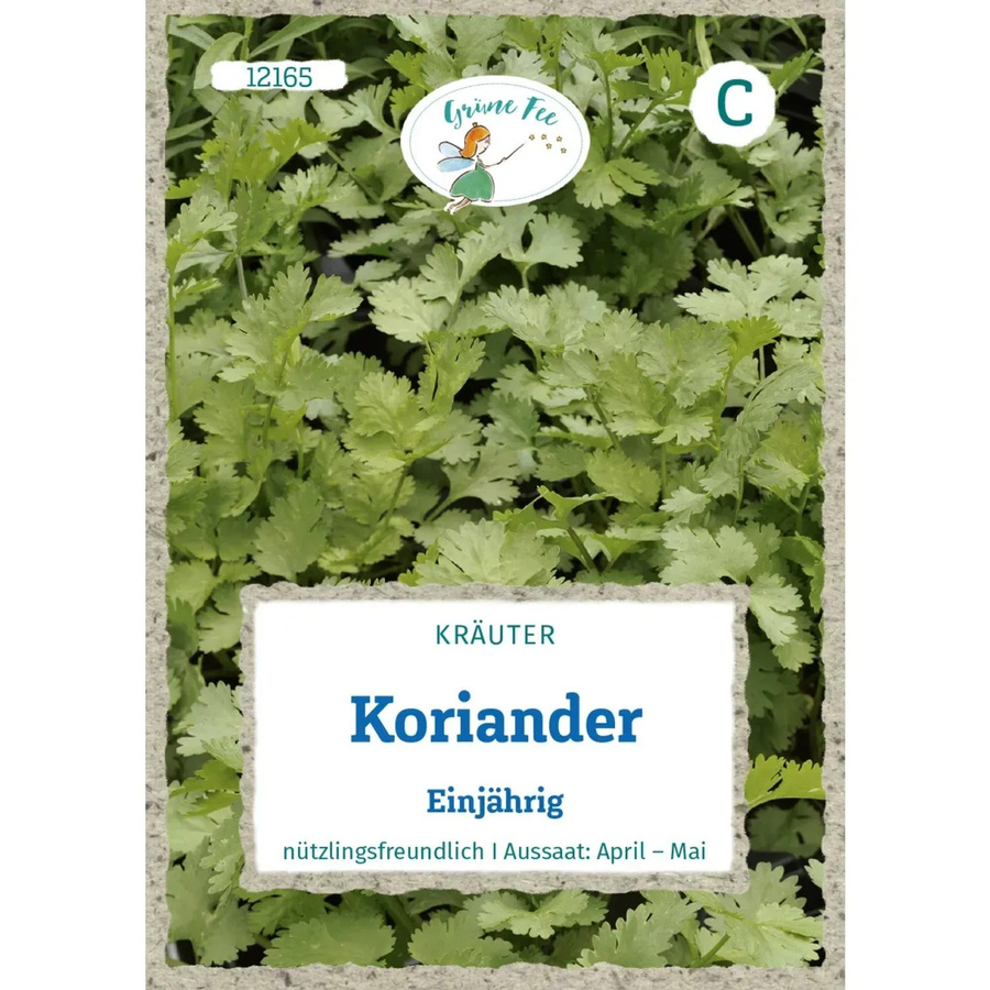 Grüne Fee Koriander Einjähriges Saatgut - Bild 2