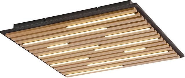 Paul Neuhaus Q-Akustik 6423 LED-Wand- und Deckenleuchte - Bild 1