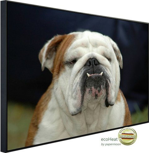 papermoon EcoHeat Infrarotheizung mit Englisches Bulldoggenporträt in Bunt und Matt-Effekt - Bild 1