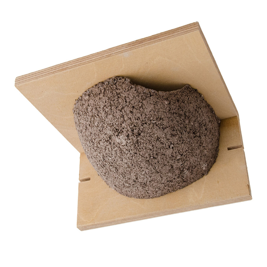 CJ Wildlife Nistkasten Mehlschwalbe aus Holzbeton in Grau und Braun mit Eingang rechts - Bild 2