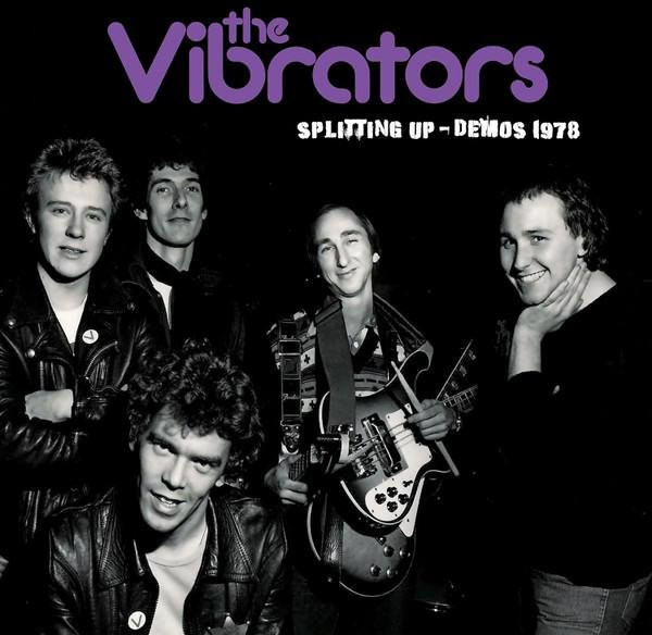 Vibrators - Splitting Up - Demos 1978 LP Schallplatte von Cleopatra in Grau - Bild 1