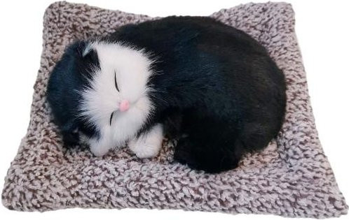 Schlafende Katze Plüschtier mit Bambuskohlebeutel, Schwarz - Bild 1