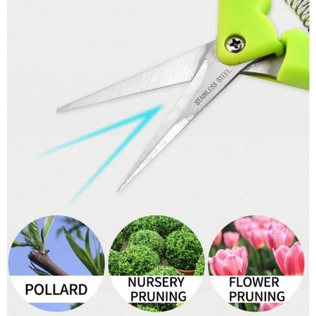 Skeyo Gartenschere Grün zum Beschneiden von Zweigen und Pflücken von Obst