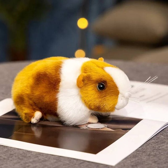 Binchi Fitness Meerschweinchen Plüschtier Kissen, Stofftier, ab 14 Jahren - Bild 1