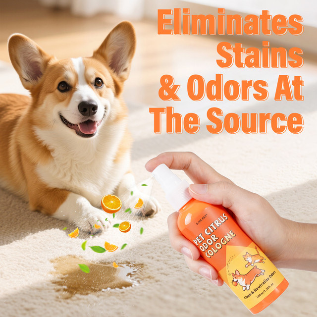 GJYC PET Zitrus-Enzymatisches Haustier-Deodorant-Spray zur Geruchsneutralisierung von Urinflecken in Orange, Teppich- und Polsterreiniger für Hunde und Katzen - Bild 1