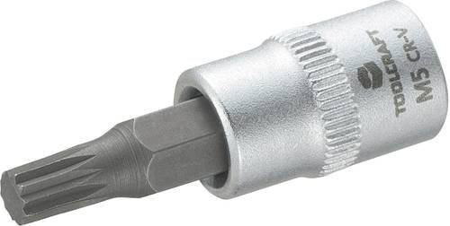TOOLCRAFT M5 816074 Innen-Vielzahn XZN Steckschlüssel-Bit-Einsatz 5mm 1/4 Zoll in Silber - Bild 1
