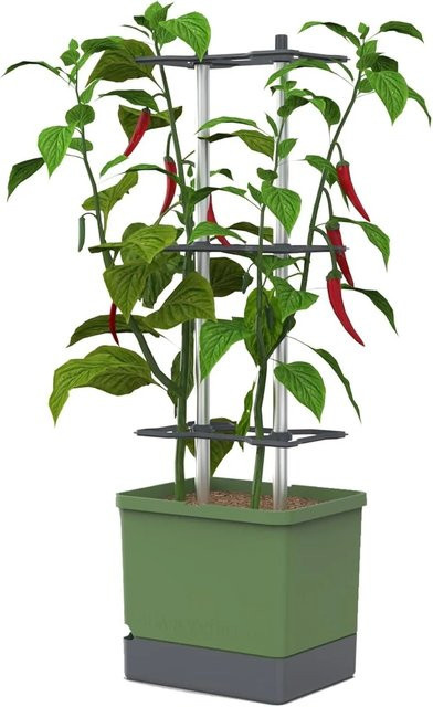 Gusta Garden Charly Chili Pflanzentopf mit Rankhilfe, Dunkelgrün, Höhe: 105,4 cm - Bild 1