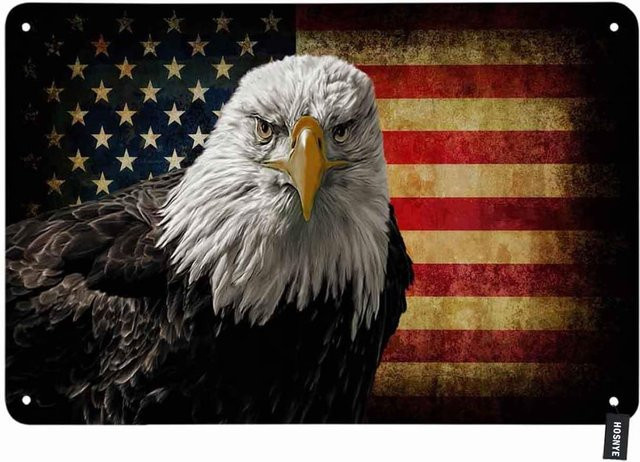 HOSNYE Vintage Metallschild Weißkopfseeadler auf amerikanischer Flagge Wanddeko aus Blech, B/H: 20 x 14 cm - Bild 1
