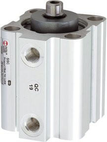 Riegler Kurzhubzylinder doppeltwirkend mit Magnet in Silber, Kolben-Ø 63 mm, Hub 25 mm, Anschluss G 1/8 - Bild 1