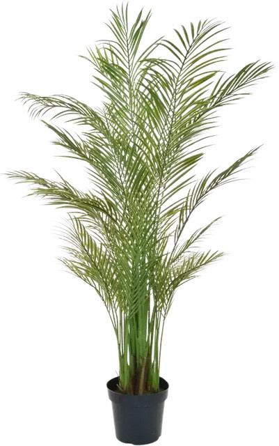 Künstliche Areca Palme Amelie von artplants in Grün, Höhe: 180 cm - Bild 1