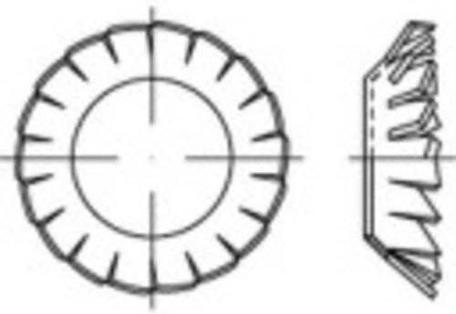 TOOLCRAFT Fächerscheibe aus Federstahl, Innen-Durchmesser: 4,3 mm, galvanisch verzinkt, Silber, 250 Stück - Bild 1