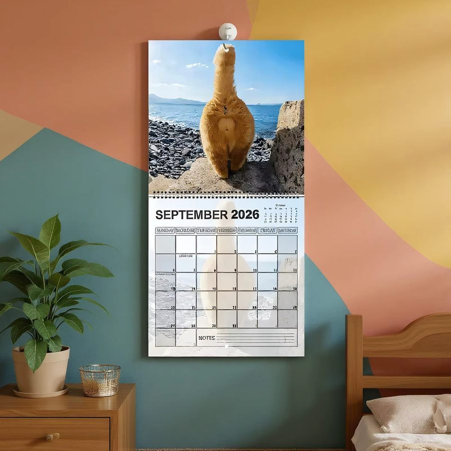 Lustiger Wandkalender mit Katzenmotiven für deine Planung, Mehrfarbig - Bild 3