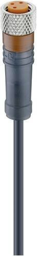 Lumberg Automation 17852-10 Sensor-Aktor-Steckverbinder M8 Buchse gerade Schwarz 3-polig 2,00 m - Bild 1