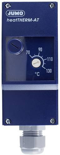 Jumo Temperaturbegrenzer wandmontiert aus Kunststoff in Blau - Bild 1