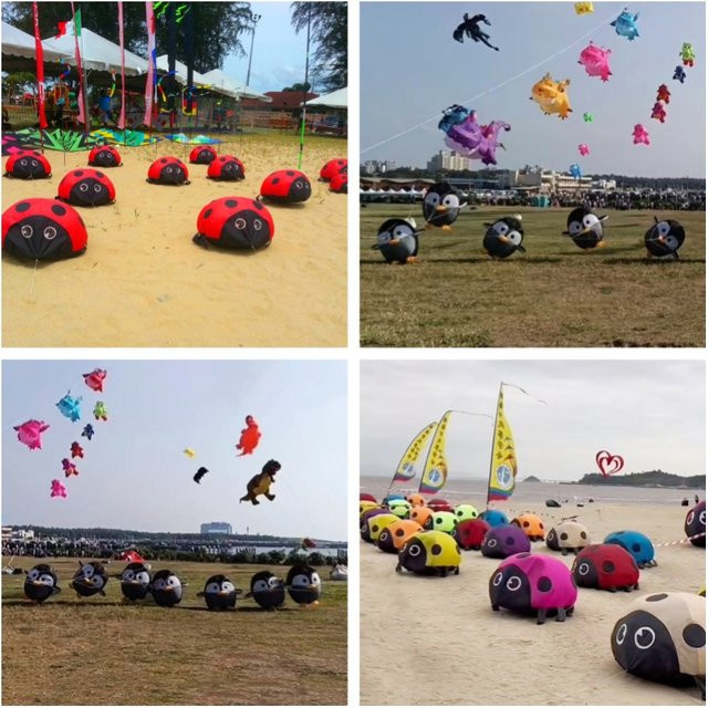 Breezemoon Pinguin-Drachen-Anhänger, Marienkäfer-Drachen, Outdoor-Spielzeug, ab 14 Jahren - Bild 1