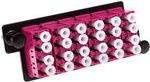 ACT Adapterplate 6xLC Quad OM4 in Pink (24F) FA2152 - Bild 1