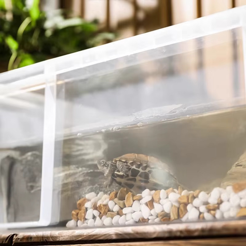 Miflame Schildkröten-Terrarium aus transparentem Kunststoff für Zucht und Transport - Bild 3