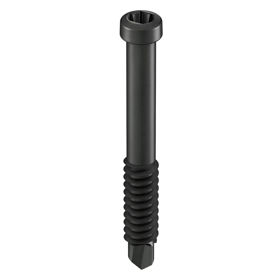 GS Terrassen Bohrschraube für Dielenclips aus Metall, Schwarz, 100 Stück, Durchmesser: 4,8 mm, Länge: 38 mm - Bild 2