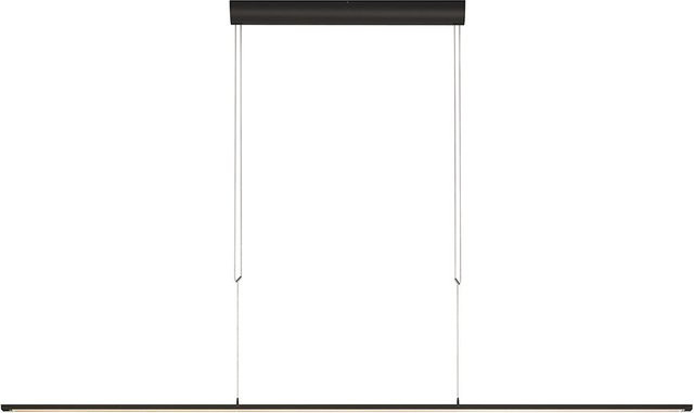 Oligo Lisgo Sky Straight Max LED-Pendelleuchte in Schwarz Matt mit dimmbarer Warmweiß-Beleuchtung (2700K) - Bild 1