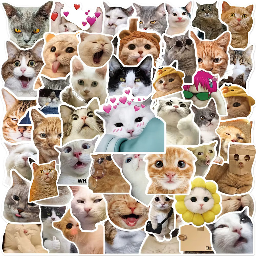 Rspctou Lustige Katzen-Tier-Meme Sticker Set in Multicolor für Skateboard, Gepäck und Handyhülle - Bild 2