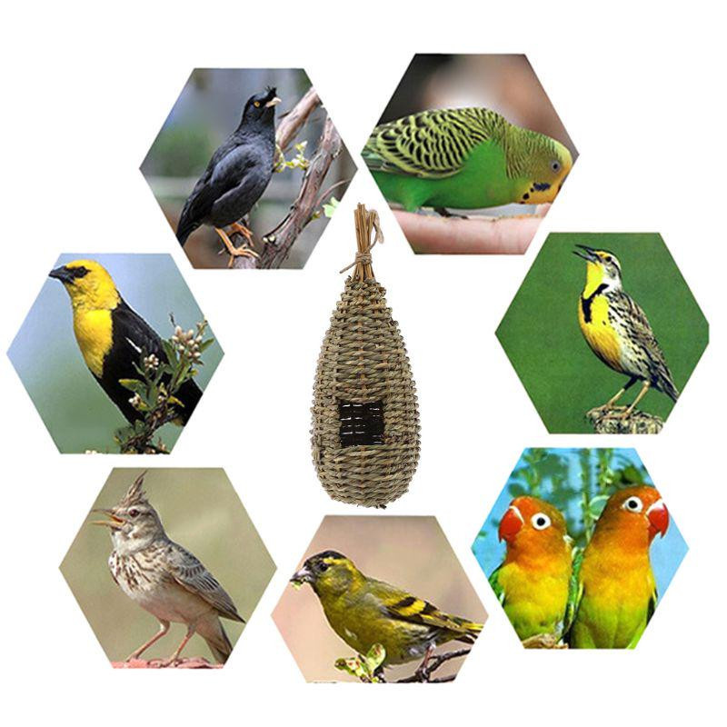 Hängendes Vogelhaus aus Naturfaser als Vogelnest und Unterschlupf für Finken - Bild 4