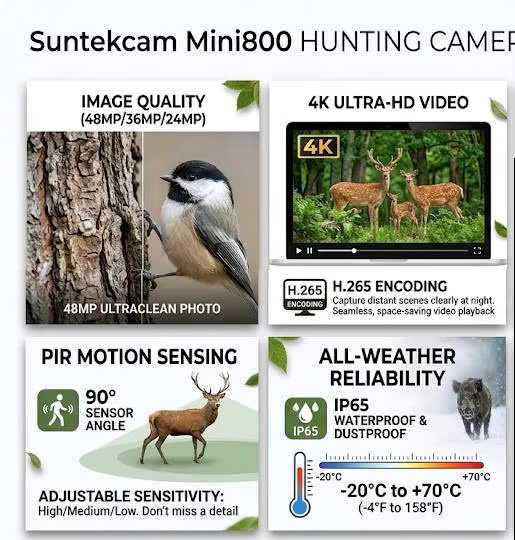 Suntekcam Mini800 Wildkamera mit 24MP und 4K1080P Auflösung inklusive Nachtsicht für Jagd und Tierbeobachtung - Bild 4