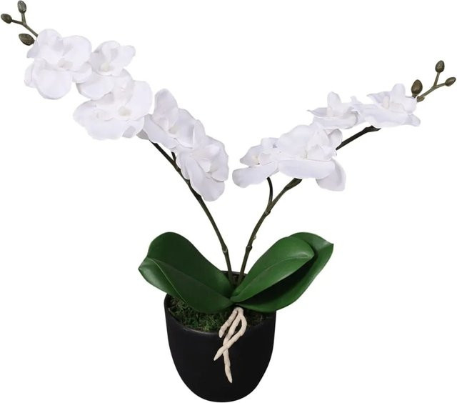furnicato Künstliche Orchidee in Weiß mit Topf, Höhe: 30 cm - Bild 1