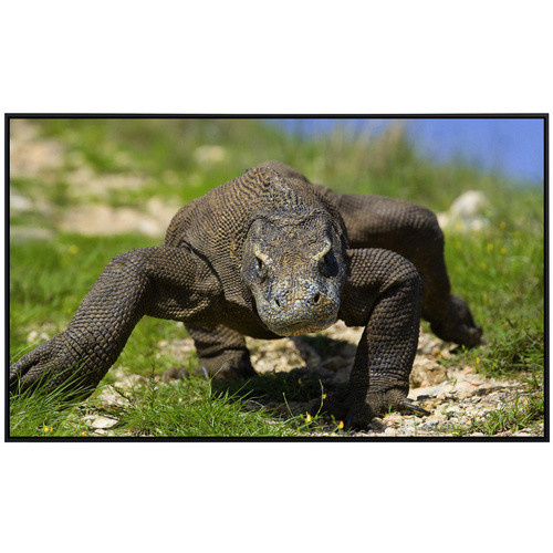 papermoon EcoHeat Infrarotheizung Komodo Drache mit App-Steuerung und Überhitzungsschutz, bunt mit Matt-Effekt - Bild 2