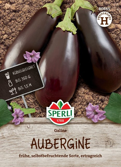 SPERLI Auberginen-Samen Galine F1 - Bild 1
