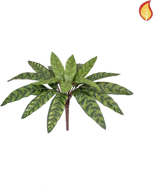 Künstliche Calathea Hermann von Aplanta, Höhe: 37 cm - Bild 1