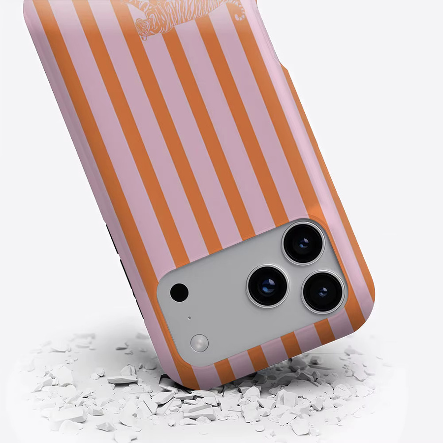 Aurbe Matte 2-in-1 MagSafe Hülle mit Film für iPhone 17 16 15 14 Plus Pro Max, Stoßfeste Hartschale, Rosa-orange gestreifter Tiger - Bild 3