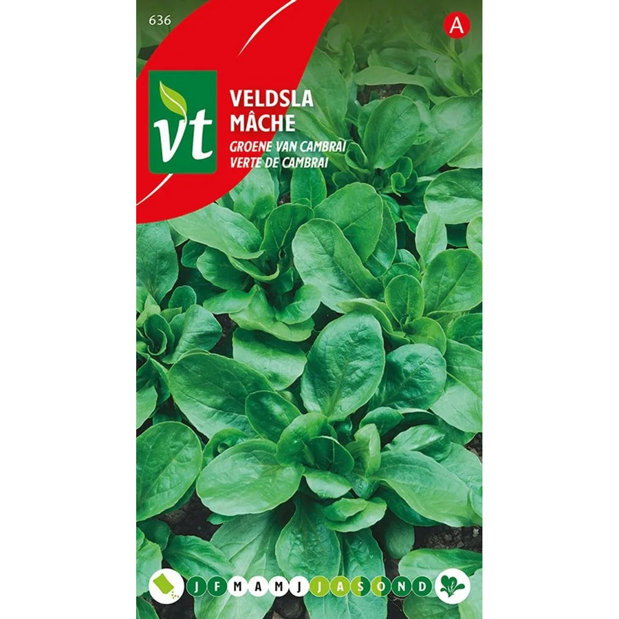 Arborix Feldsalat Grüner Cambrai Samen für Herbst und Winter, 3 g - Bild 2