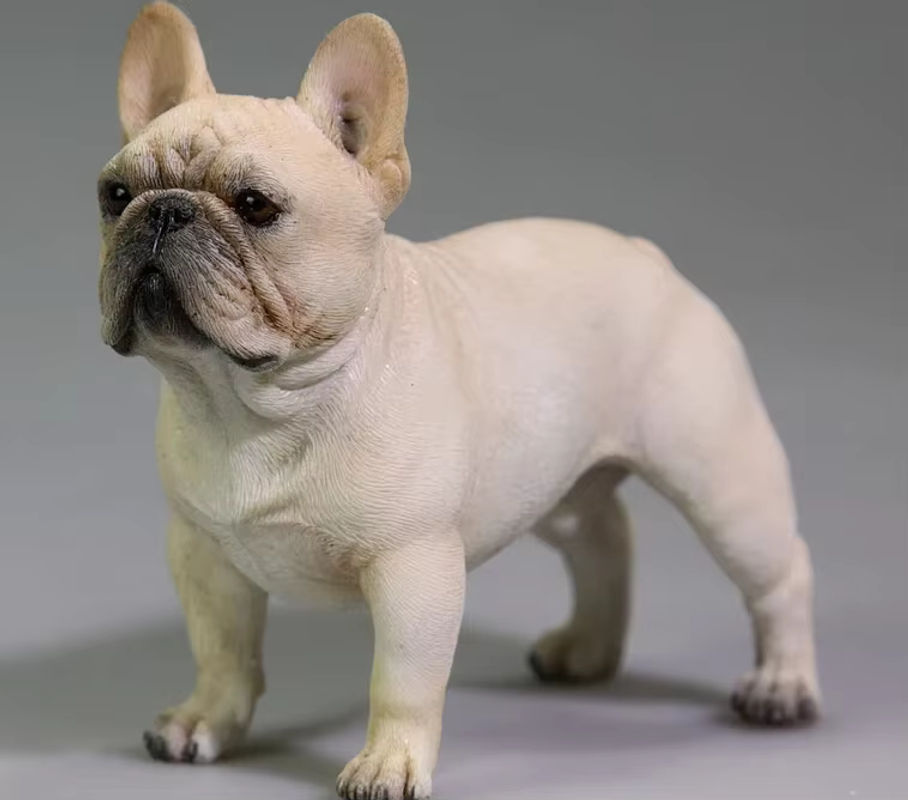 JXK Simulation Französische Bulldogge Modell im Maßstab 1:6, lebensechtes Haustier-Figurenmodell aus Kunstharz, mehrfarbig - Bild 2
