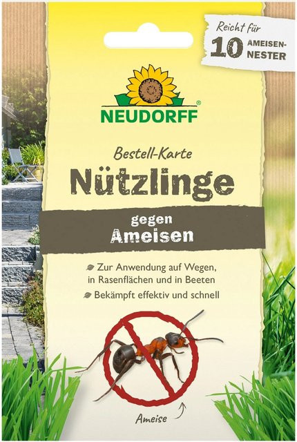 Neudorff SF-Nematoden zur biologischen Bekämpfung von Ameisen für 10 Ameisennester - Bild 1