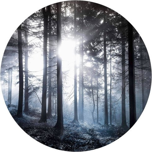 K&L Wall Art Vliestapete Runde Sonnenstrahlen Wald Blau, mehrfarbig, matt, B: 284 cm, H: 284 cm - Bild 1