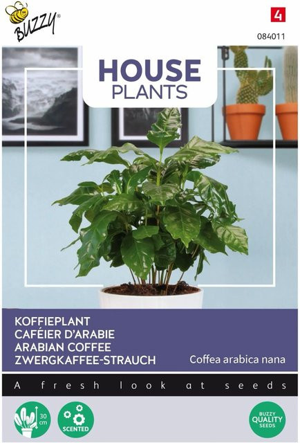 Buzzy House Plants Zwerg-Kaffeepflanze Samen für den Innenbereich mit ca. 15 Samen - Bild 1