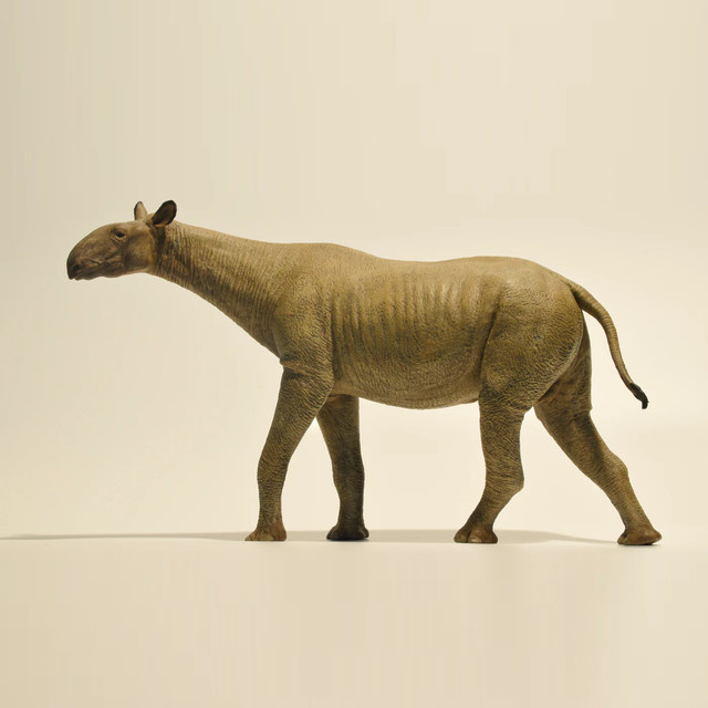 Eofauna Paraceratherium Grangeri Figur, 1:35 Maßstab, Einzelfigur - Bild 1