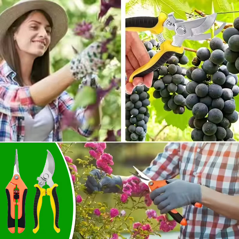 2-teiliges Gartenscheren-Set von eoopee in Multicolour mit ergonomischen, rutschfesten Griffen und Sicherheitsschloss für Rosen und Pflanzen - Bild 4
