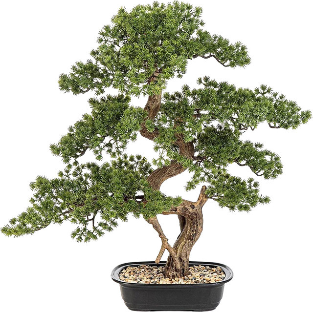 Künstlicher Bonsai Rupert von Aplanta, Höhe: 68 cm - Bild 1