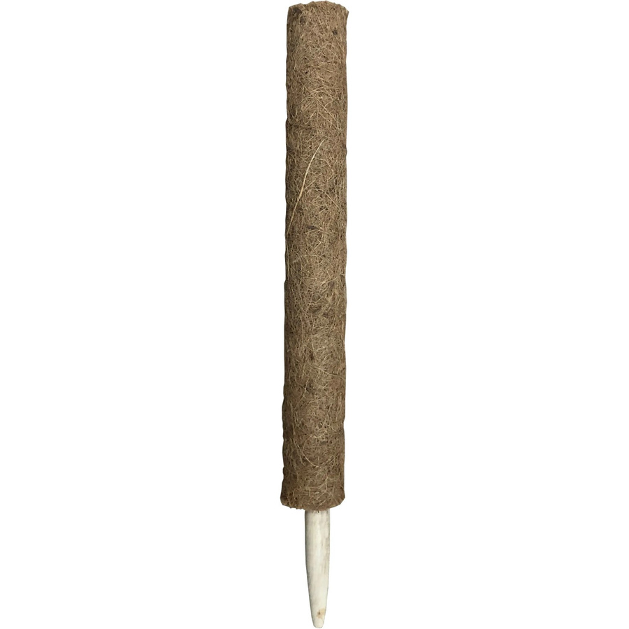 Peacock Kokosstab Pflanzstab Natur Braun Durchmesser: 4 cm, Höhe: 60 cm - Bild 2