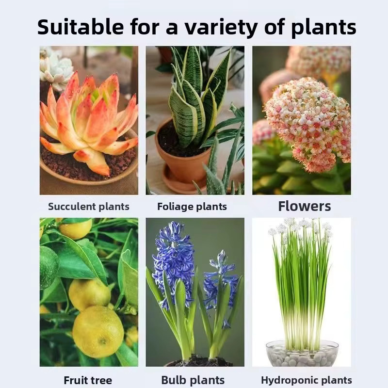 Universelle mikrobielle Pflanzenlösung als konzentrierter Nährstoffdünger für das Wachstum von Blumen und Gartenpflanzen in Weiß - Bild 3