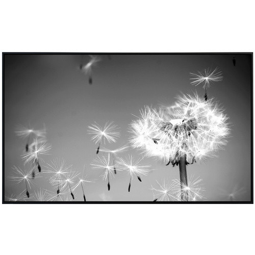 papermoon Infrarotheizung EcoHeat Pusteblume in Schwarz und Weiss mit Matt-Effekt und App-Steuerung - Bild 2