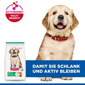 Hill's Science Plan Trockenfutter Hund Large Breed Puppy mit Huhn 2 x 14,5 kg - Bild 3