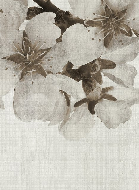 Coordonné Wandtapete Big Random Flora in Beige aus Vlies - Bild 1