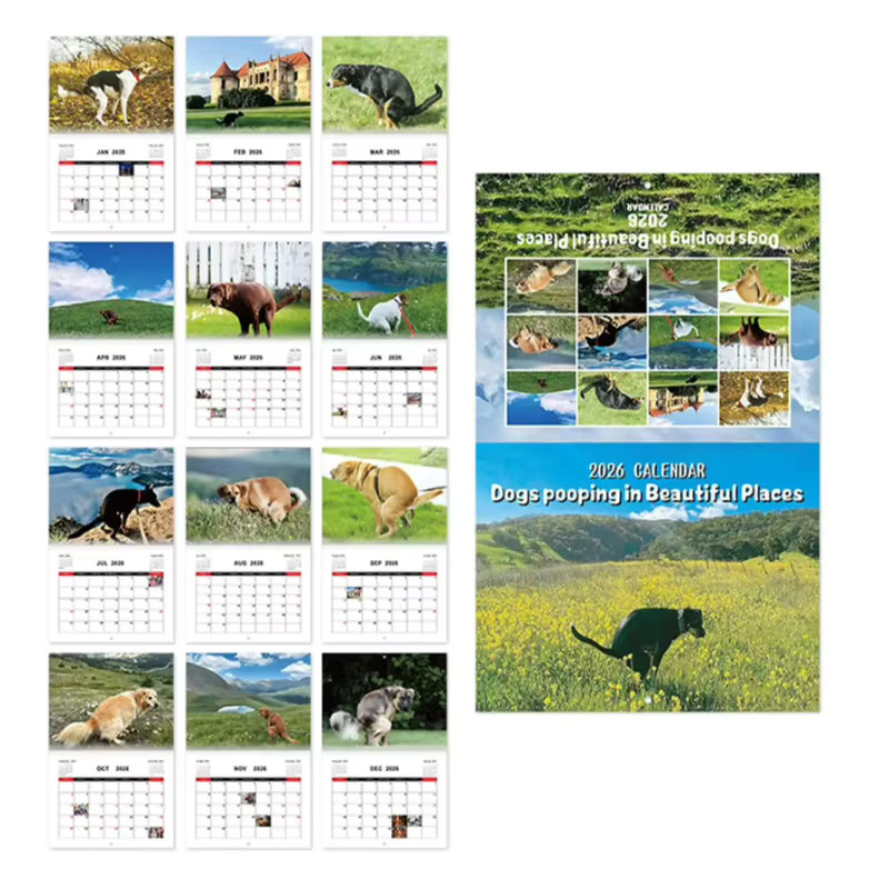 2026 Hundekot Wandkalender mit lustigem Tier-Humor Design in Multicolour - Bild 2